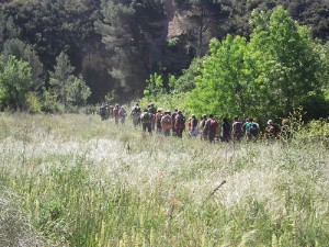 entre Querol i El Pont d'Armentera