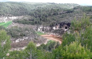 COVES ROGES